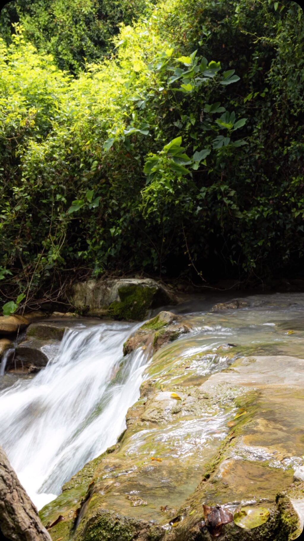 Instagram post from g.v.p.studios. This post is in position 2.