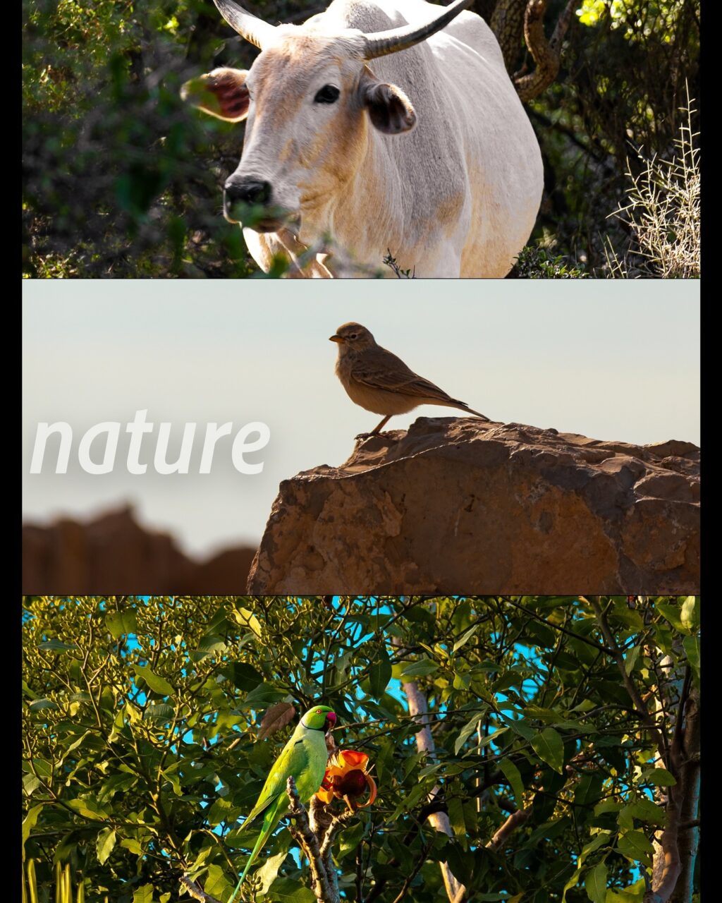 Instagram post from g.v.p.studios. This post is in position 1.