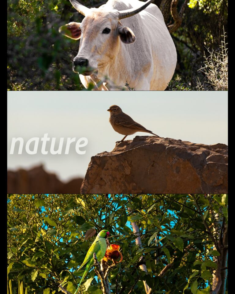 Instagram post from g.v.p.studios. This post is in position 2.